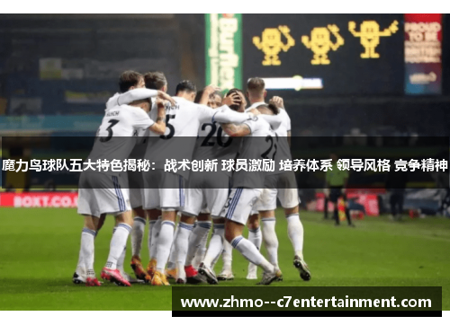魔力鸟球队五大特色揭秘:战术创新 球员激励 培养体系 领导风格 竞争精神 魔力鸟球队五大特色揭秘:战术创新 球员激励 培养体系 领导风格 竞争精神