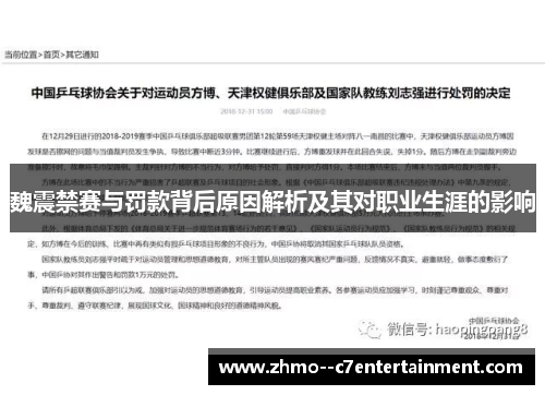 魏震禁赛与罚款背后原因解析及其对职业生涯的影响